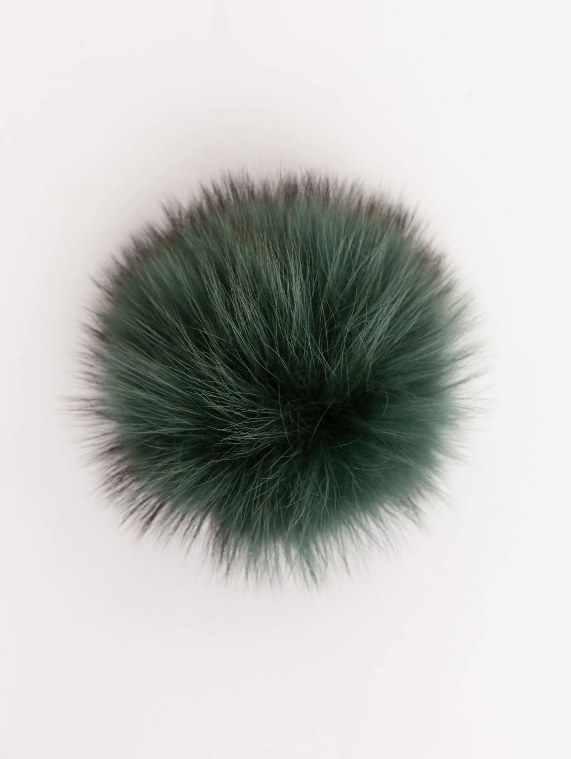 Green Toned Raccoon Pom