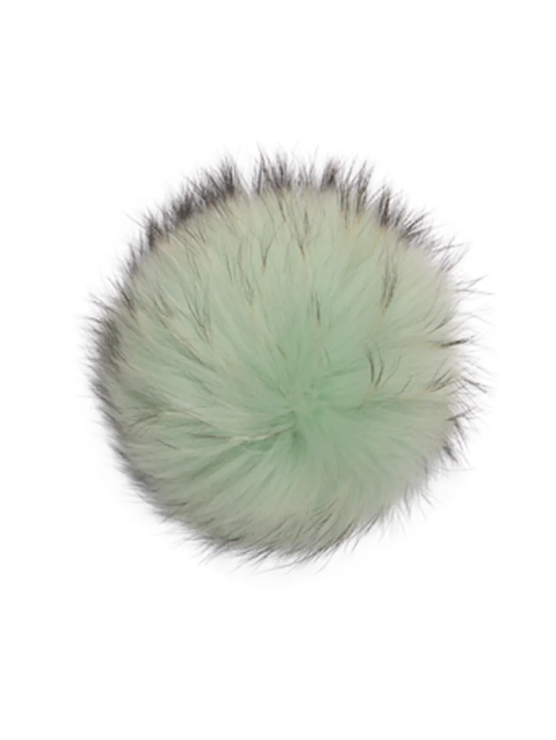 Green Toned Raccoon Pom