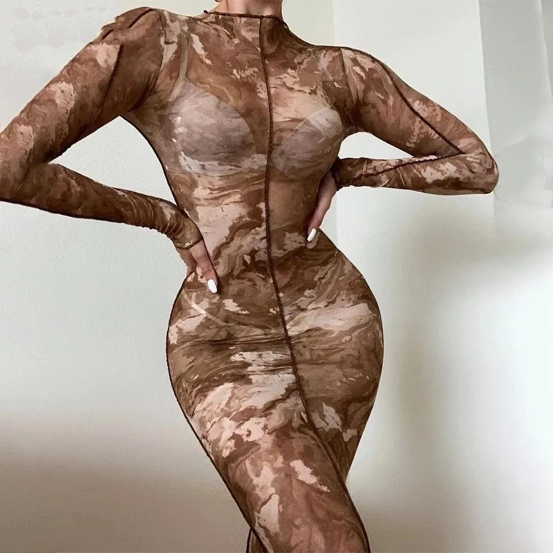 Transparent mesh bodycon dress