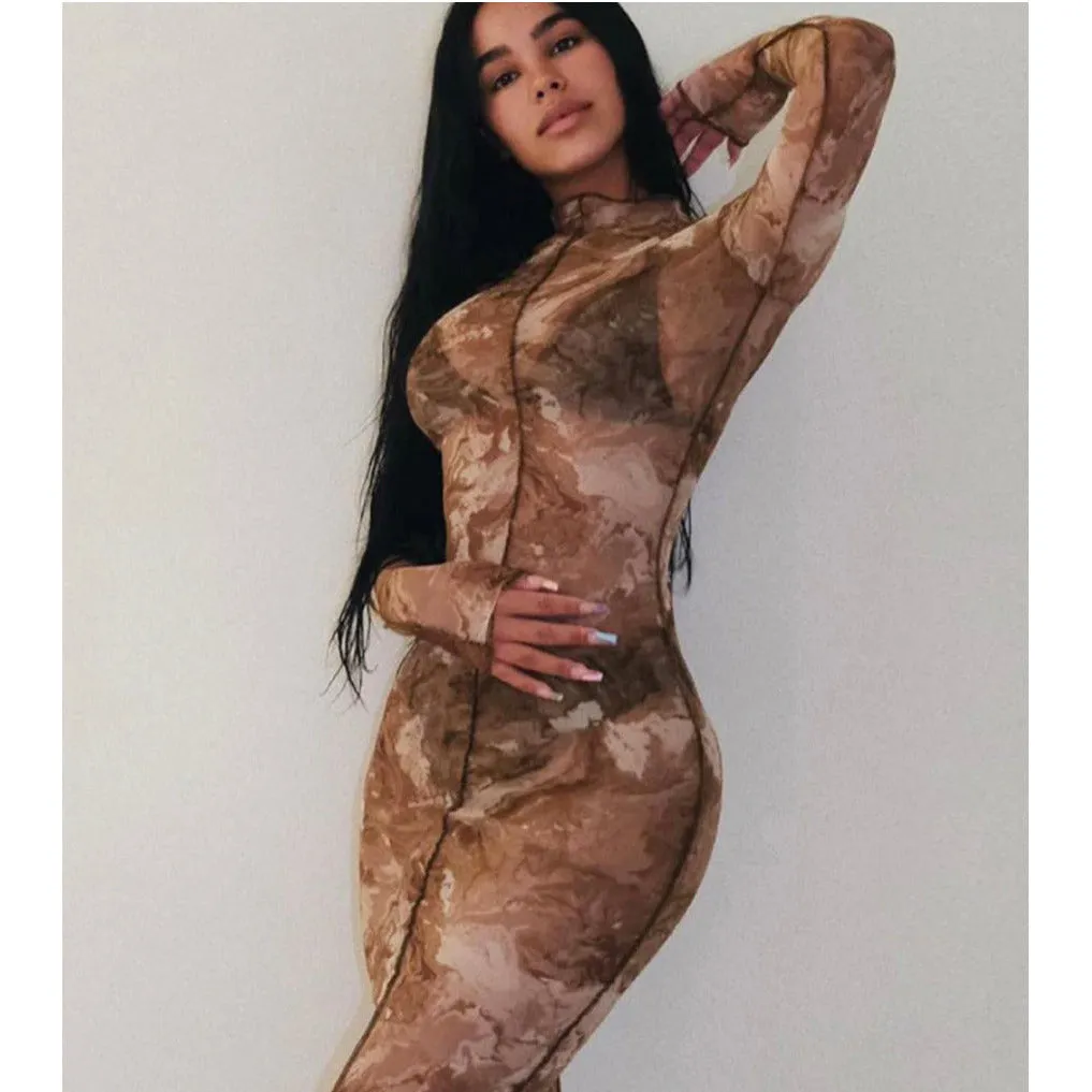 Transparent mesh bodycon dress